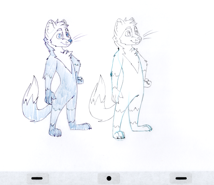 The blue and black pencil line art of Ardent's first proper reference sheet pose.